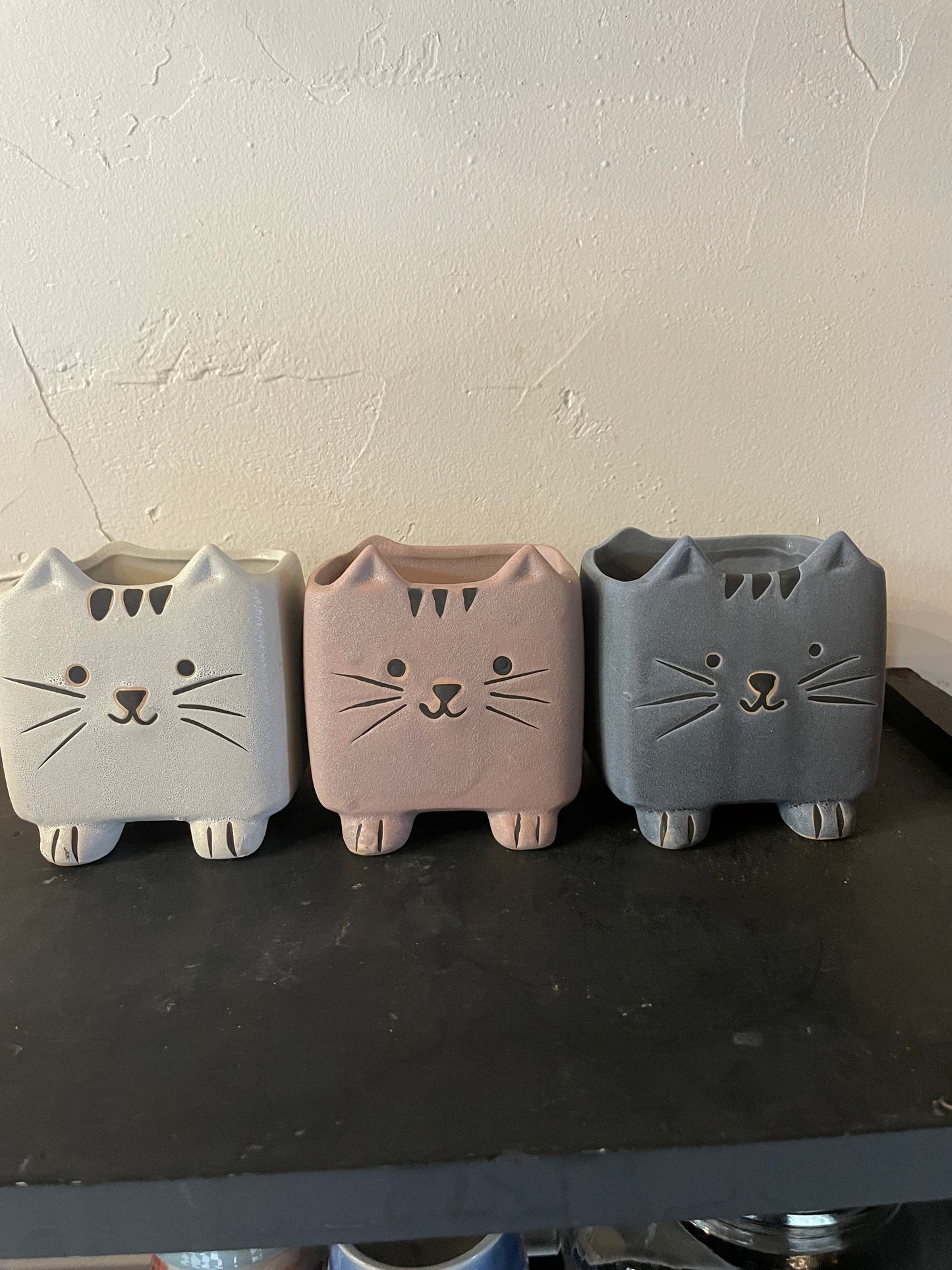 Cartoon Cat Pot