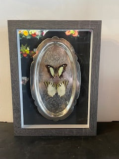 Hand Pinned Butterfly