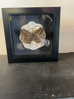 Hand Pinned Butterfly