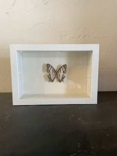 Hand Pinned Butterfly