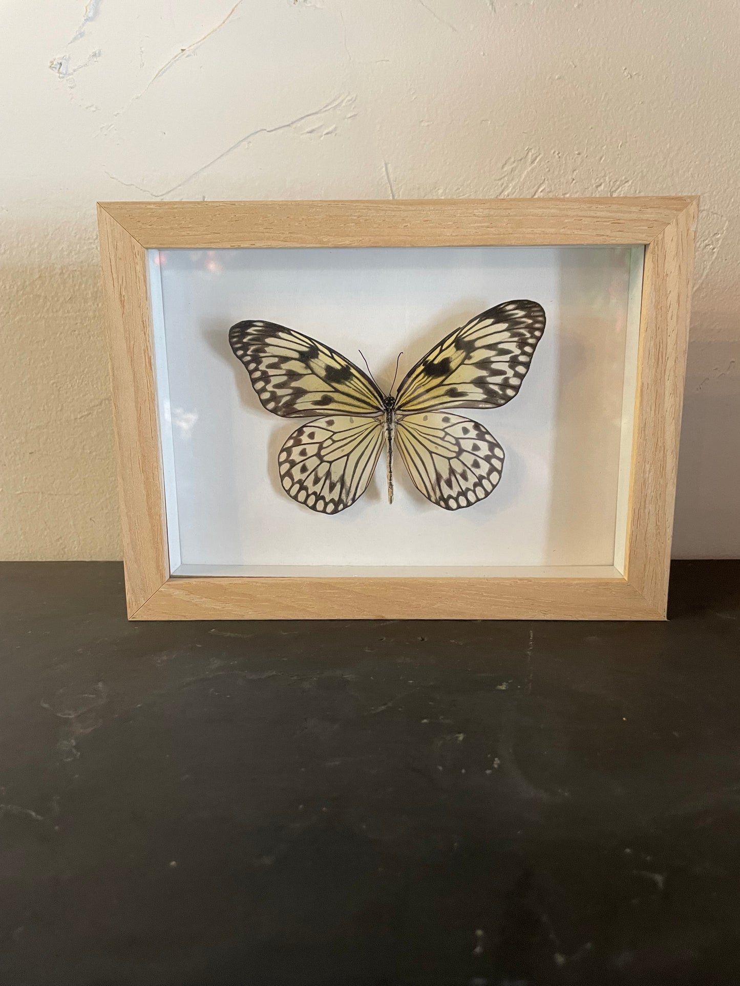 Hand Pinned Butterfly